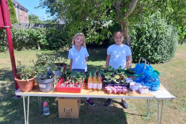 Kingsham pupils selling their produce.