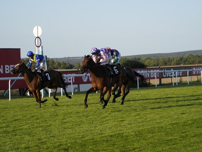 Friday evening racing kicks off bank holiday weekend at Goodwood