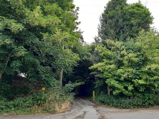 Straight ahead of you is the University of Sussex Boundary Walk and you need to follow this footpath