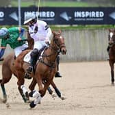 England will face Ireland in the Inspired International Arena Polo Test Match for the Bryan Morrison Trophy | Picture: Tony RamirezImagesofPolo.com