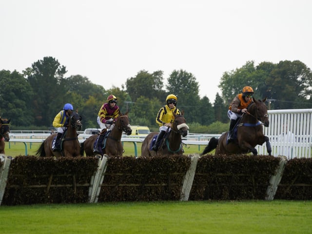 Race 3 The Rapunzel Me Let Your Hair Down Juvenile Maiden Hurdle Race at Fontwell on Friday 30 August 2024. www.polopictures.co.uk Fontwell Arundel Clive Bennett 20240830 ©2024 Clive Bennett Photography 30/08/2024 _CAB5926.JPG : Fontwell Park Ladies' Evening 2024