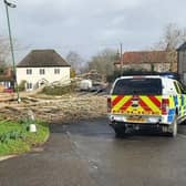 Police attending falling tree in Tangmere