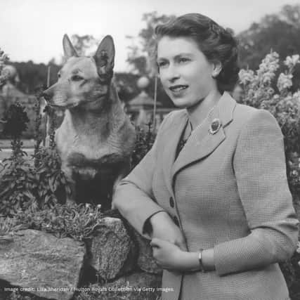 Dogs Trust Shoreham has paid tribute to its patron Queen Elizabeth II after her passing.