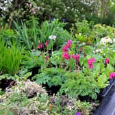 Highdown Gardens