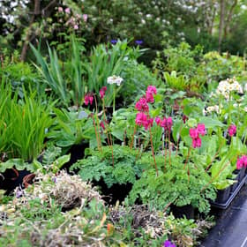 Highdown Gardens