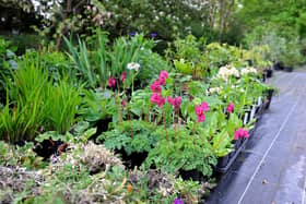 Highdown Gardens