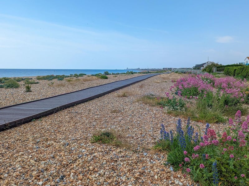 Shoreham Beach Local Nature Reserve