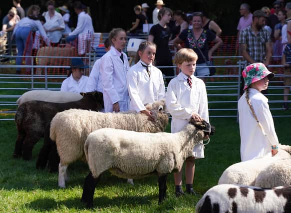 Huge crowds were in Findon today (September 9) to attend the world-famous sheep fair.