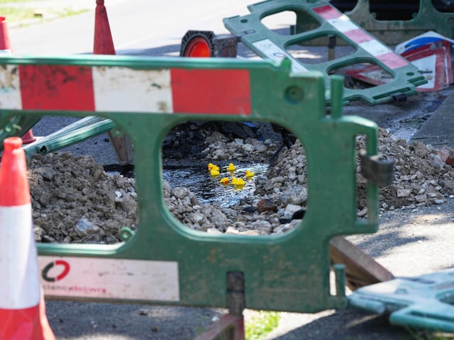 A Worthing resident put rubber ducks into a pond created by a water leak in Worthing