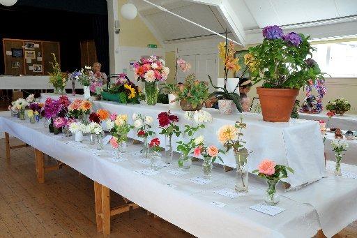 Lurgashall Horticultural Club Flower Show 2022