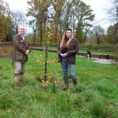 Louise Williamson and Stewart Paton with the sapling on the spot where he popped the question