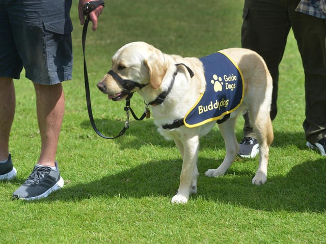 Bexhill Horse & Dog Show 2024.