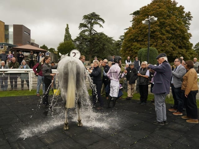 Fontwell Park jump racing action, October 2026
