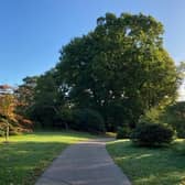 PICTURES: Tilgate Park in autumn- take a look at Crawley’s most popular park in all its seasonal glory.