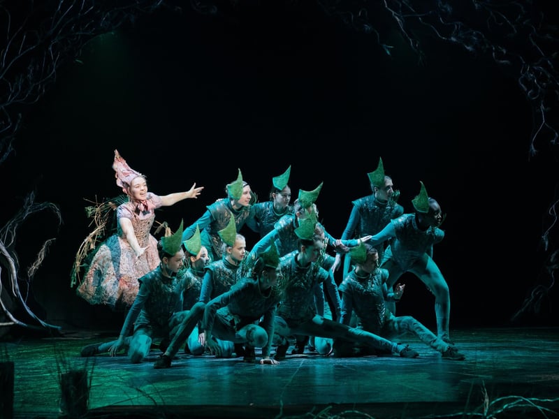 2018 Sleeping Beauty. Photo by Helen Murray