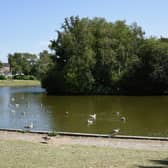 Hailsham Common Pond