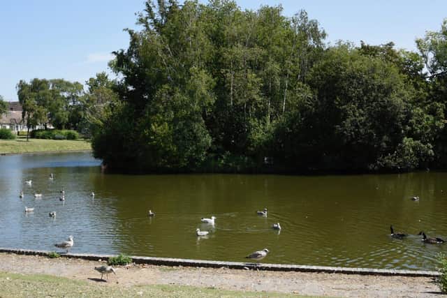 Hailsham Common Pond