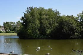 Hailsham Common Pond. Picture from Hailsham Town Council
