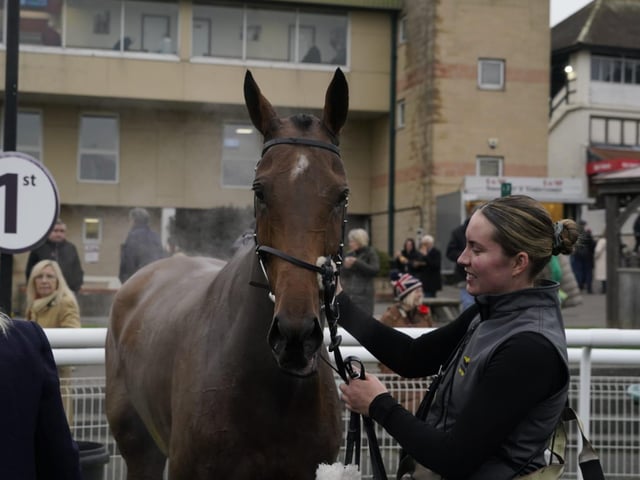 November jump racing at Fontwell Park