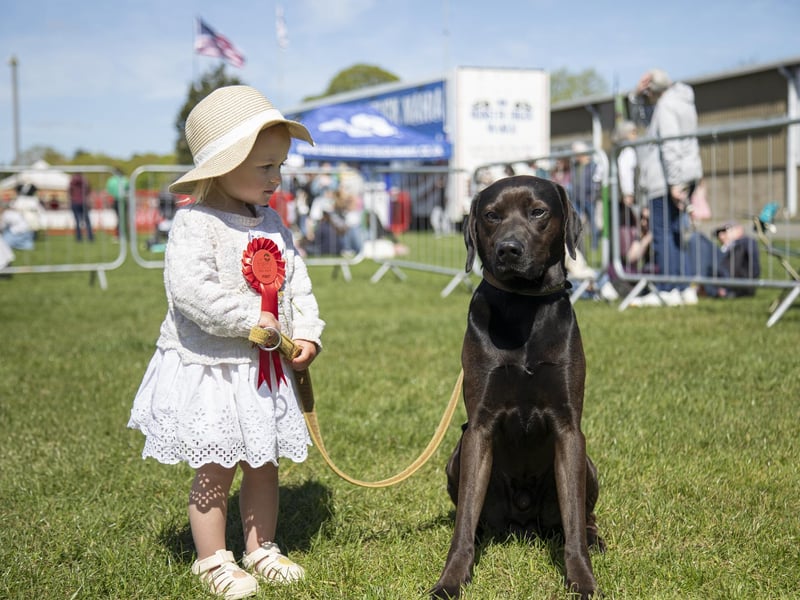 The fun dog show. Photo: Hollie Robards