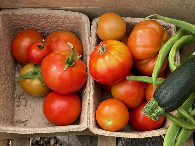 Freshly-picked produce