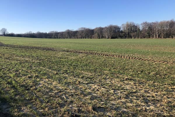 Brookworth Homes and Parker Dann Chartered Town Planning Consultants recently announced a proposal for 300 new homes at Goldbridge Farm in Newick