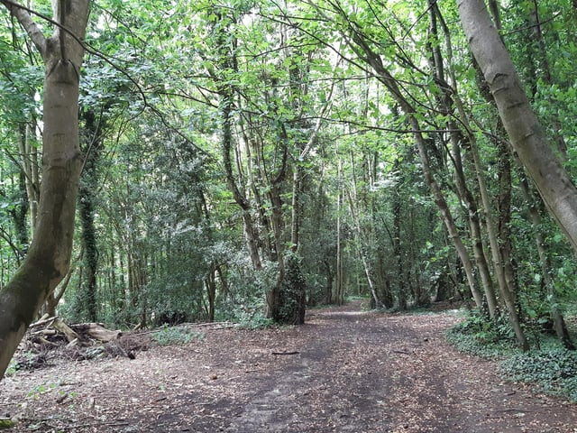 Follow the path around the campus