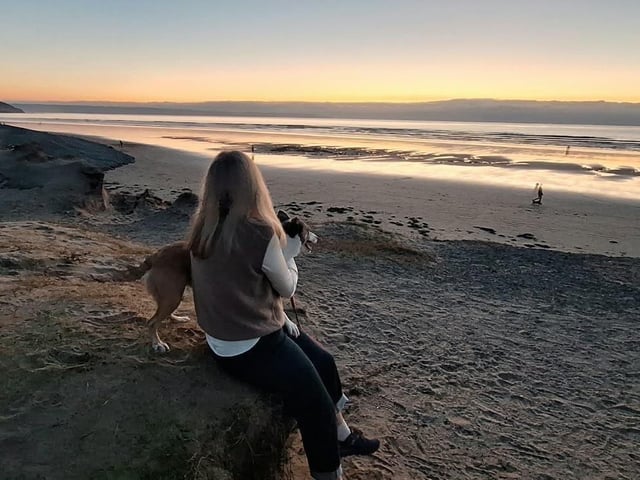 A rescue dog who spent nearly three years in kennels has found a loving home, after staff at a Sussex animal charity launched a daily TikTok campaign.