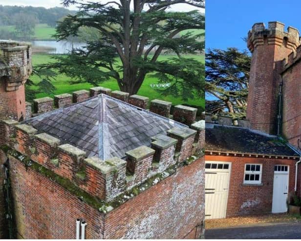 Repairs are needed to roofs and a water tower at the historic Knepp Castle in West Grinstead