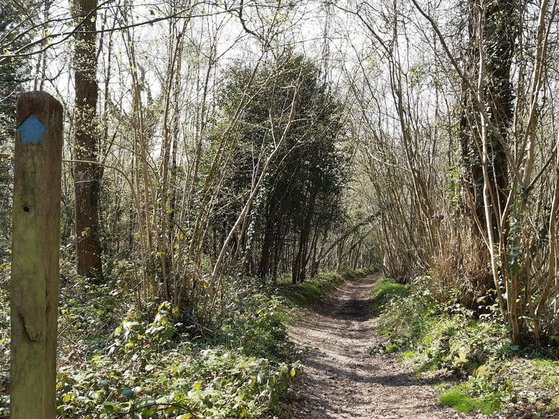 Follow the footpath, which is well signposted.