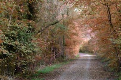 This former railway line has been converted into a walking and cycling path that takes you through woodland and open countryside