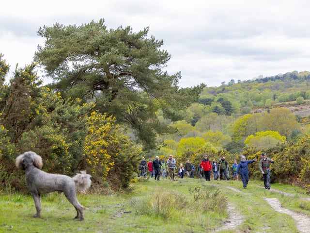 Walk in memory of James Adler
