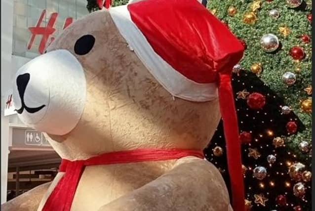 Priory Meadow Christmas