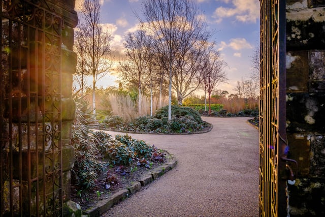 Wakehurst Winter Garden