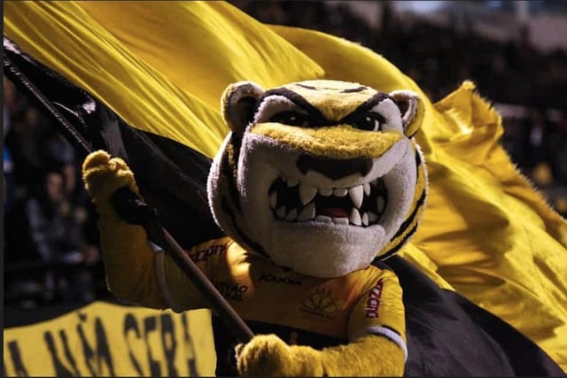Newly promoted to the second division of Brazilian football, Criciúma’s mascot goes simply by the name, Tiger, and will not only scare off opponents but probably supporters too.