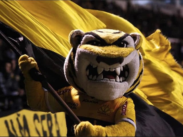 Newly promoted to the second division of Brazilian football, Criciúma’s mascot goes simply by the name, Tiger, and will not only scare off opponents but probably supporters too.
