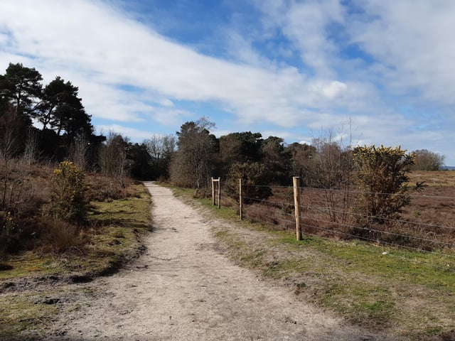 Please keep to the footpaths. Fencing has been put up by the landowner, the National Trust, to minimise disturbance from visitors and their dogs as the heather regrows.