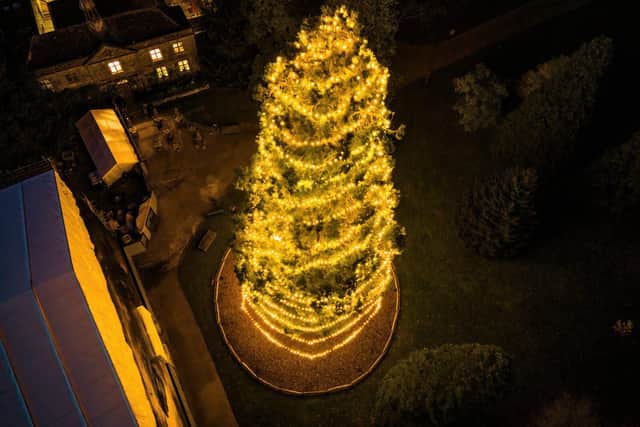 FIRST GLIMPSE OF UK’S TALLEST LIVING CHRISTMAS TREE AS TEAM MAKE MAKE FINAL TOUCHES AHEAD OF 10TH GL