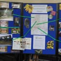 Southbourne community comes together for ‘Caring For The World’ display