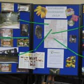 Southbourne community comes together for ‘Caring For The World’ display