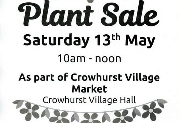 Come along and  purchase some lovely bargain plants for your homes and gardens from us and enjoy the village market stalls also 