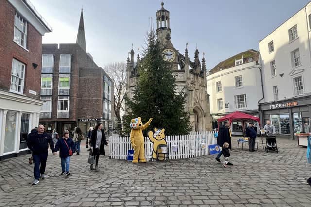 The Christmas Tree put up in Chichester city-centre.