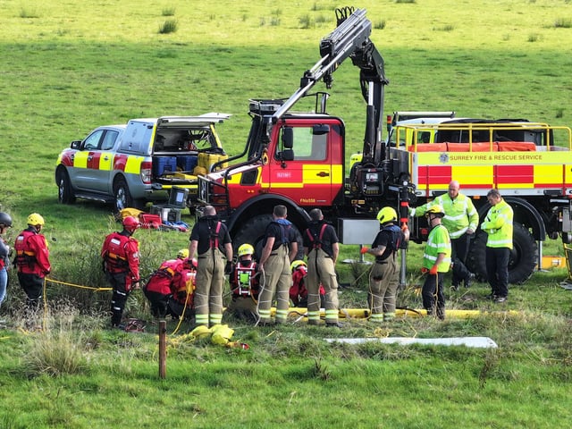 Horse who fell in ditch rescued by West Sussex and Surrey fire crews