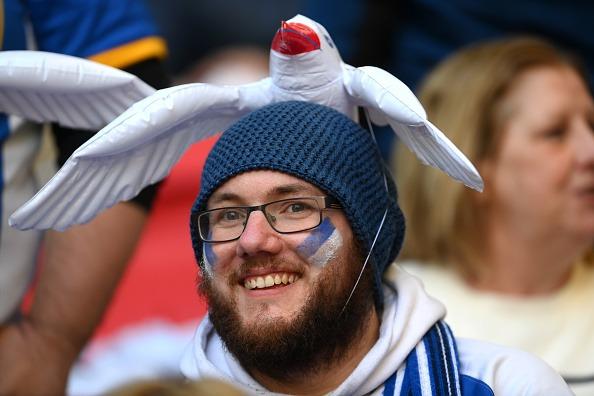 Seagulls at Wembley