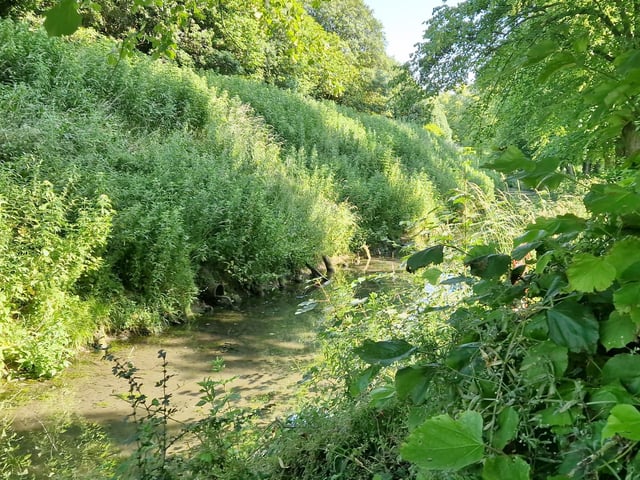 It is the perfect place for nature lovers