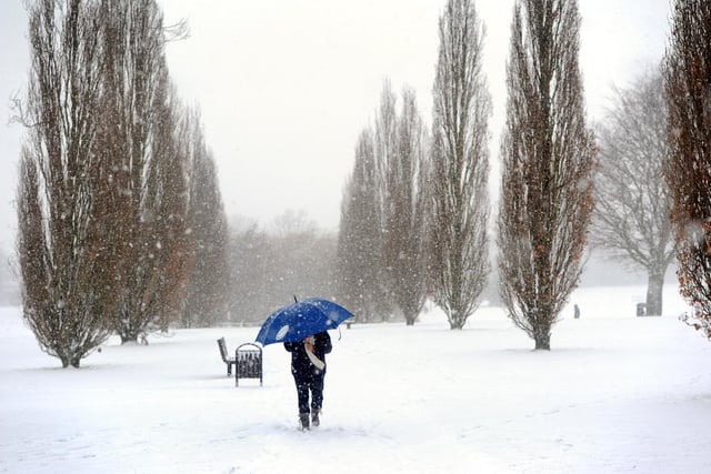 A walker braves the snow flurries in Horsham Park. January 2013