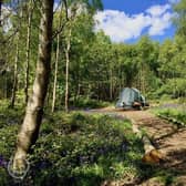 Beech Estate Campsite in Netherfield has been named the best in the UK in Campsites.co.uk's awards.