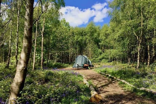 Beech Estate Campsite in Netherfield has been named the best in the UK in Campsites.co.uk's awards.