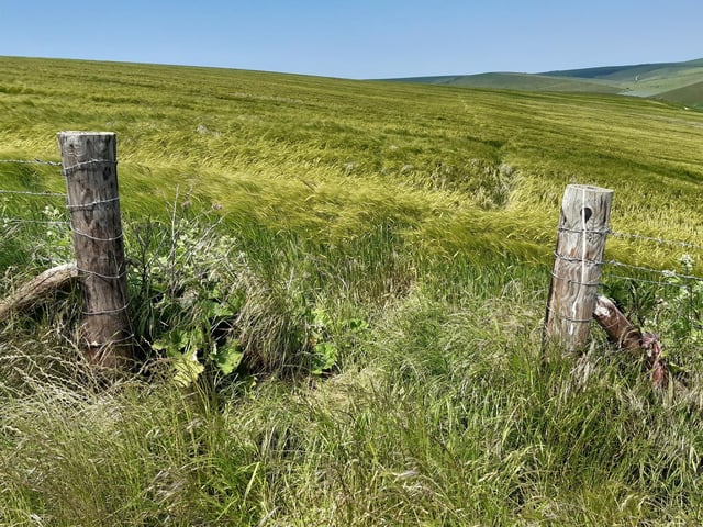 Follow the path that has been trodden by those before you, it's a pretty straight line to an opening in the fence