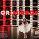 The MIRROR MIRROR installation opens at Priory Meadow this weekend
